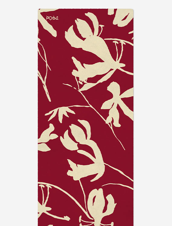 Asana Travel Vanilla