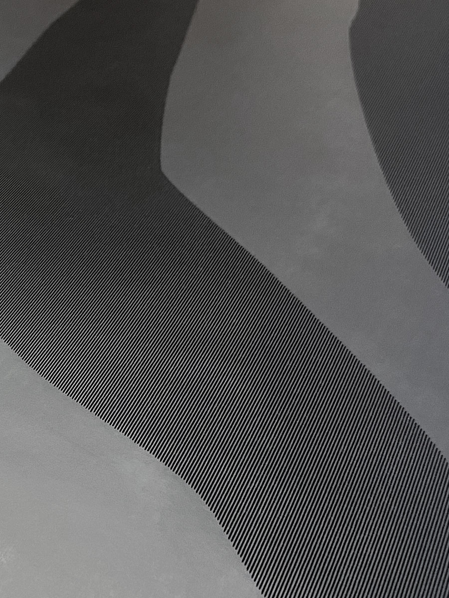 NonSlip Pro Black Tiger